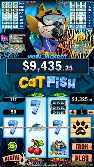 Cat Fish